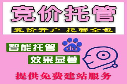 充值高返点策略：成功案例分析与解读